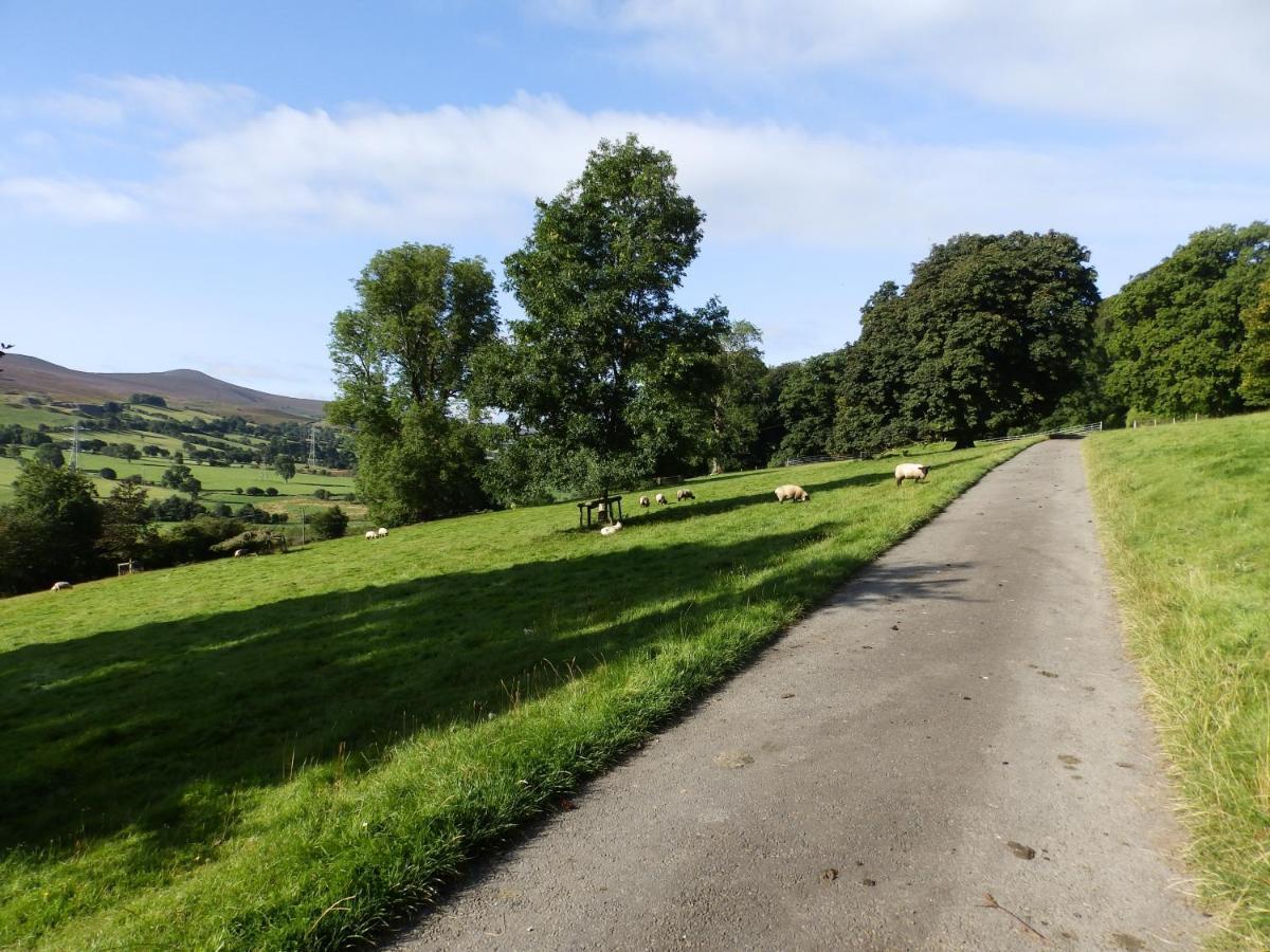 Plas Yn Yale With Mountain Views From All Windows Wrexham Exterior foto